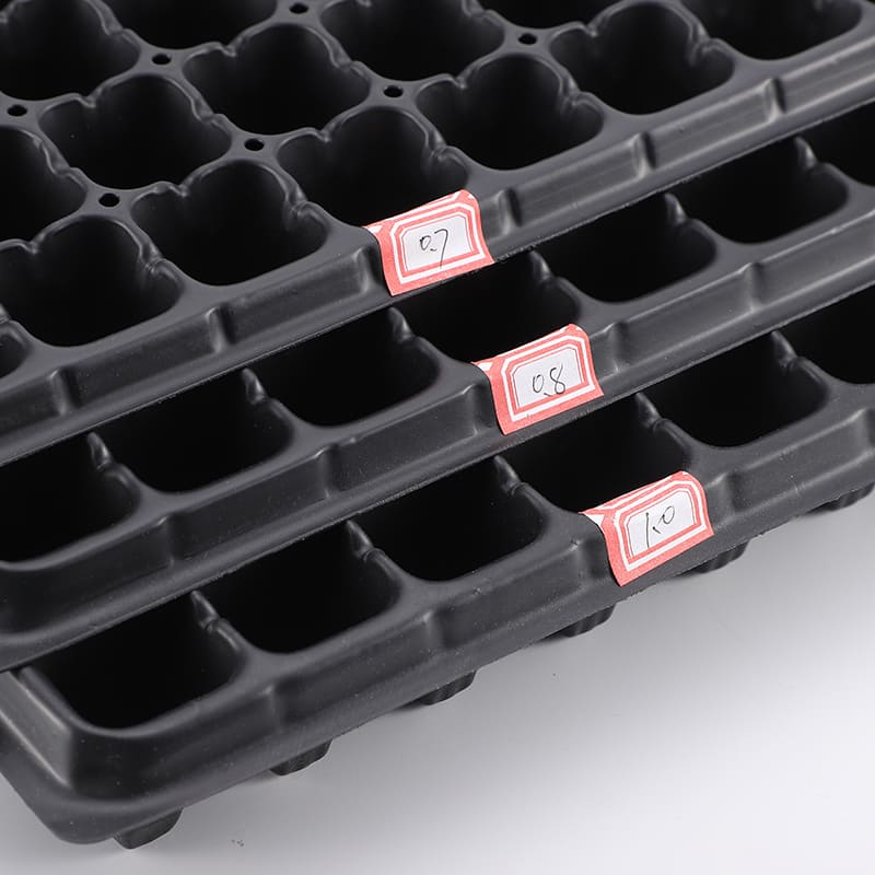 Garden Propagator Seed Tray