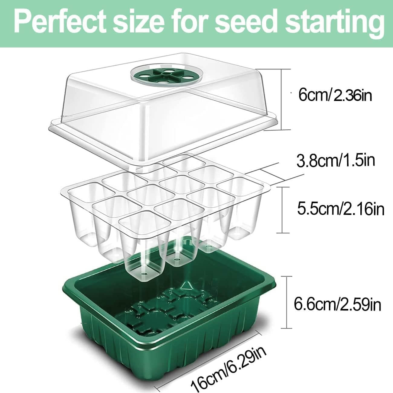 6/12 Cells 3in1 Seeds Tray Box