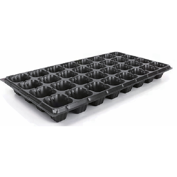 32 Cell Seeding Tray for Planting of Succulents