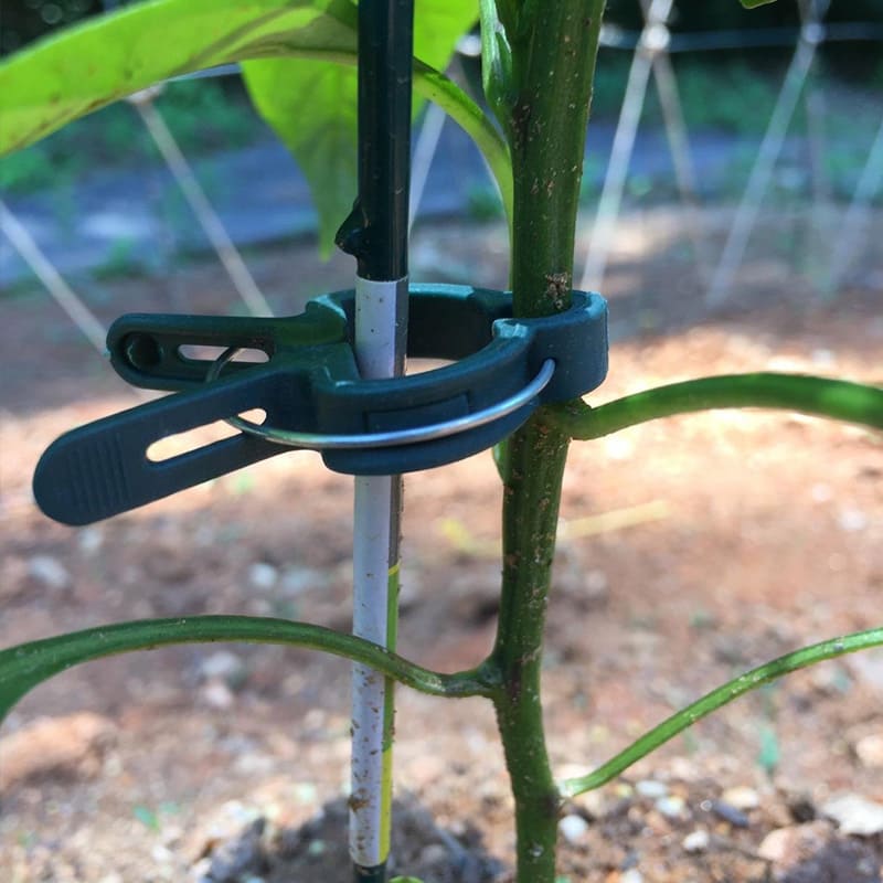 Plant Support Garden Clips for Vine Vegetables