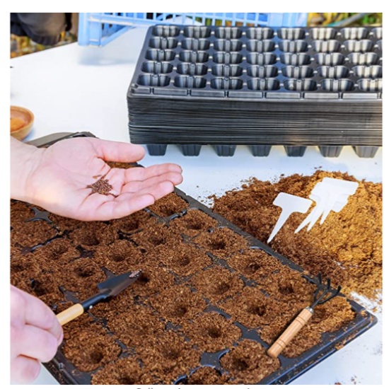 21 Cell 3.9-Inch Deep Seed Tray