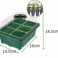 6 Cell Seed Starting Trays with Dome