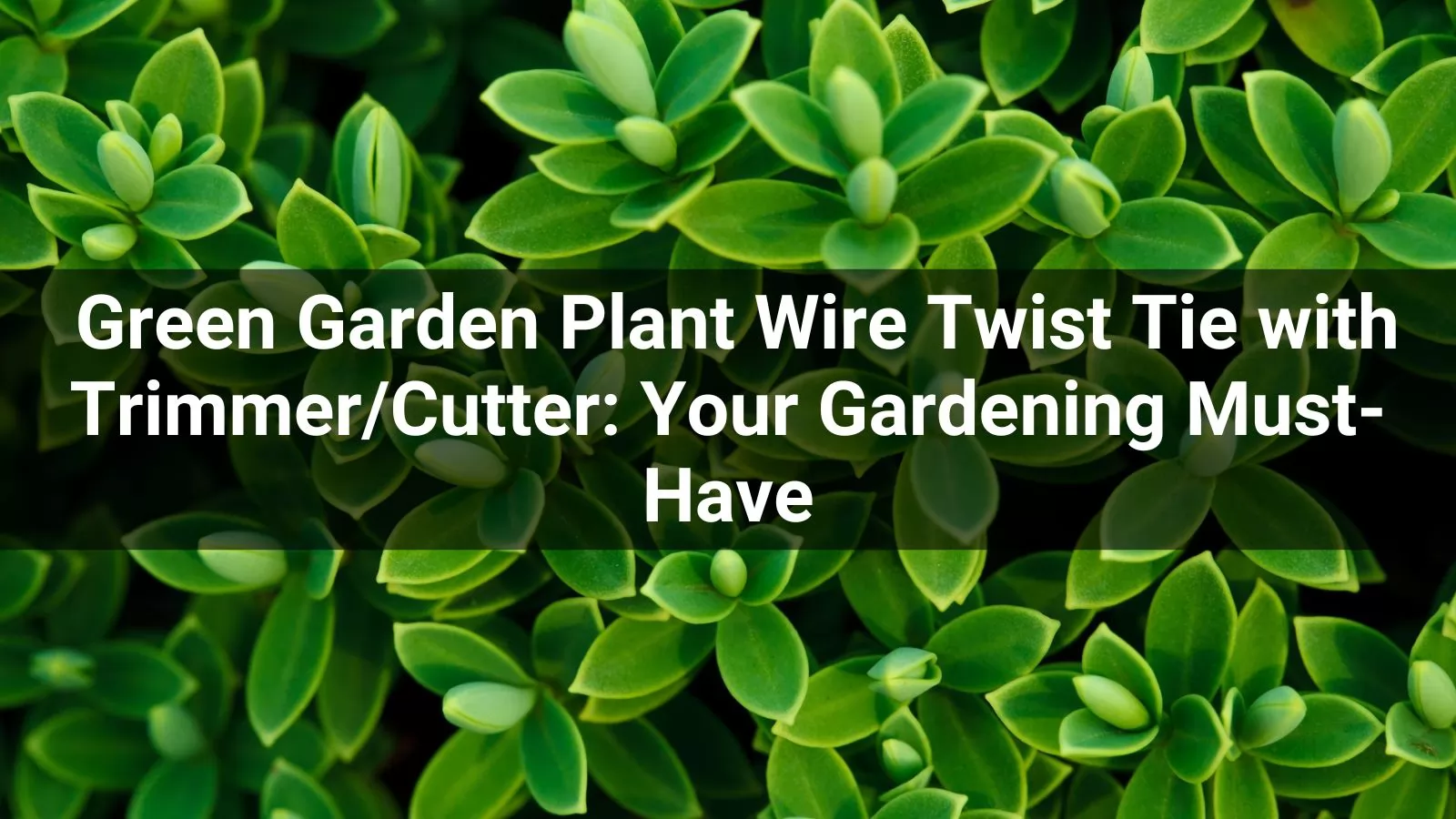  Green Garden Plant Wire Twist Tie with Trimmer/Cutter: Your Gardening Must-Have