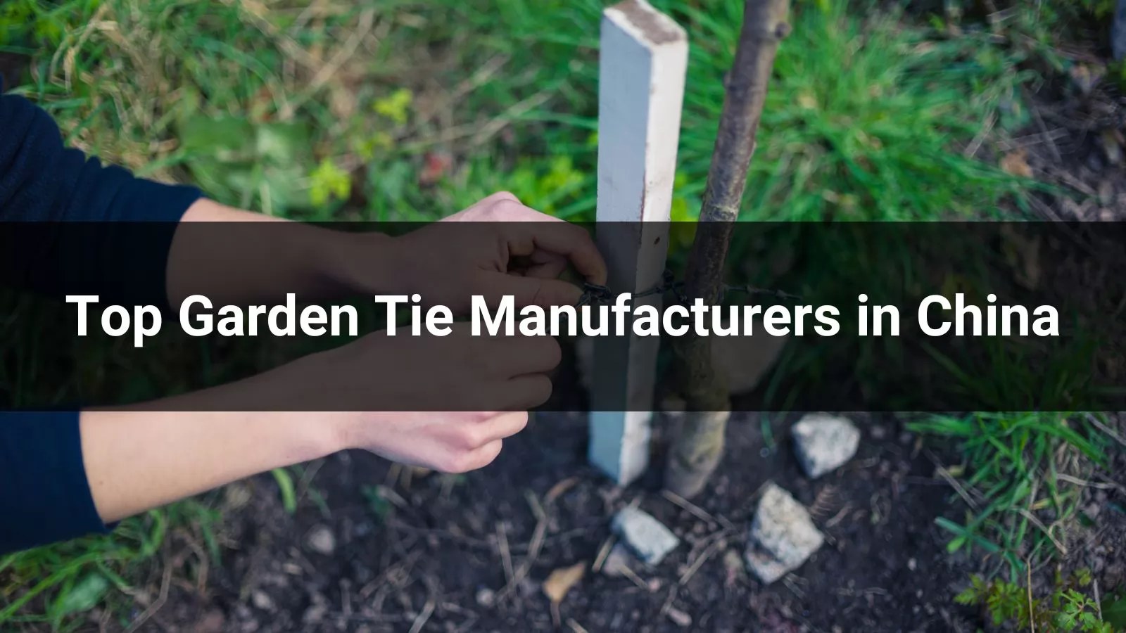 Best Garden Tie Manufacturers in China 2025