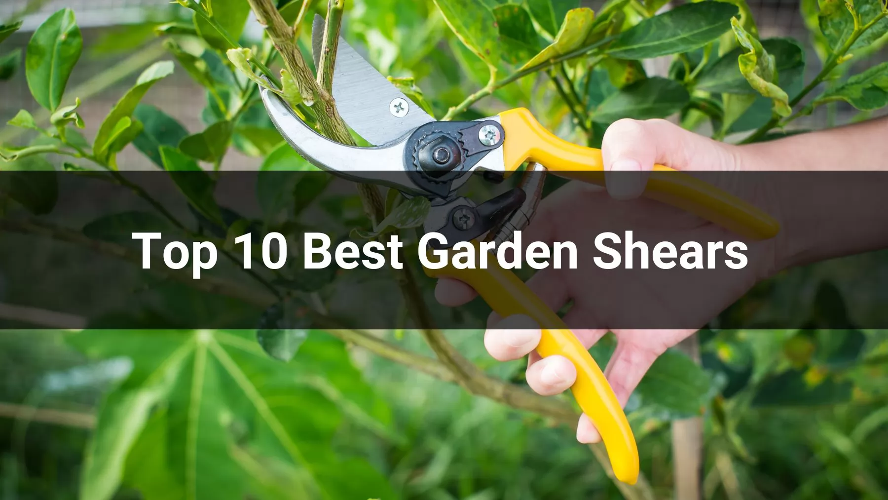  Top 10 Best Garden Shears for 2025