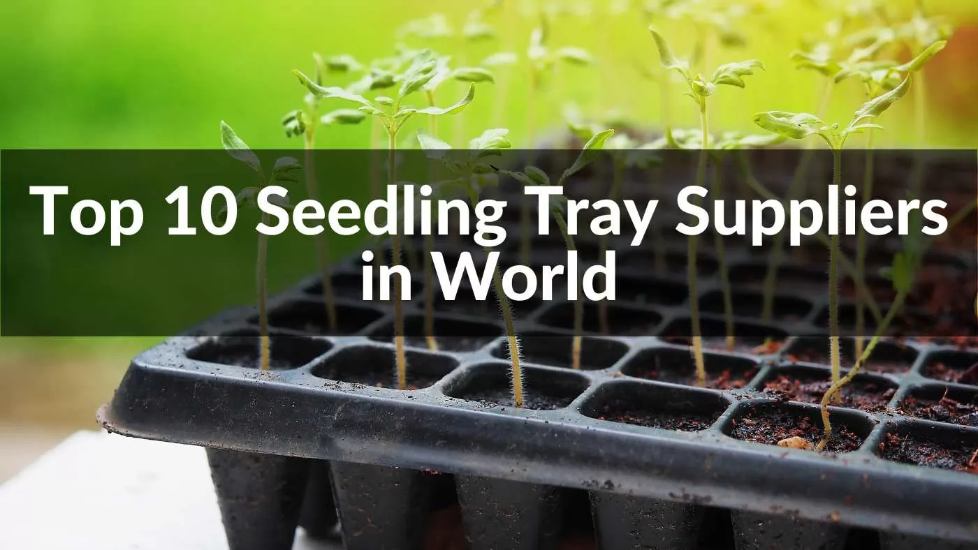 Top 10 Seedling Tray Manufacturers and Suppliers Worldwide in 2025