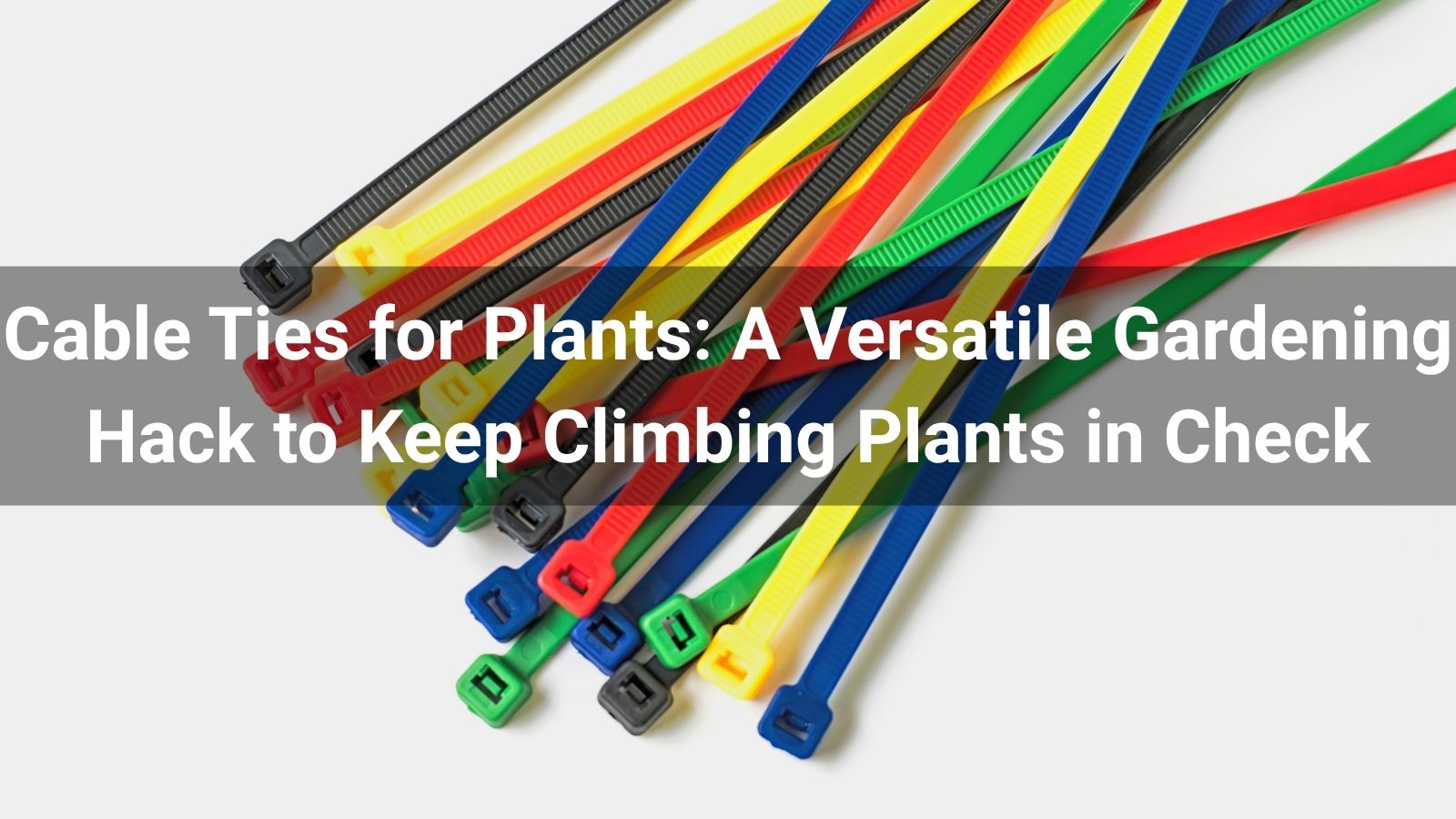 Cable Ties for Plants: A Versatile Gardening Hack to Keep Climbing Plants in Check