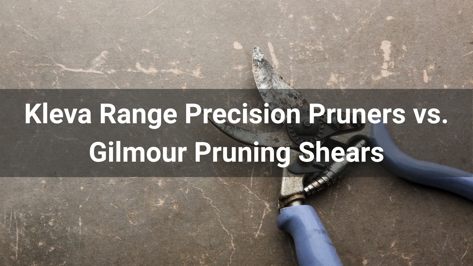 Kleva Range Precision Pruners vs. Gilmour Pruning Shears