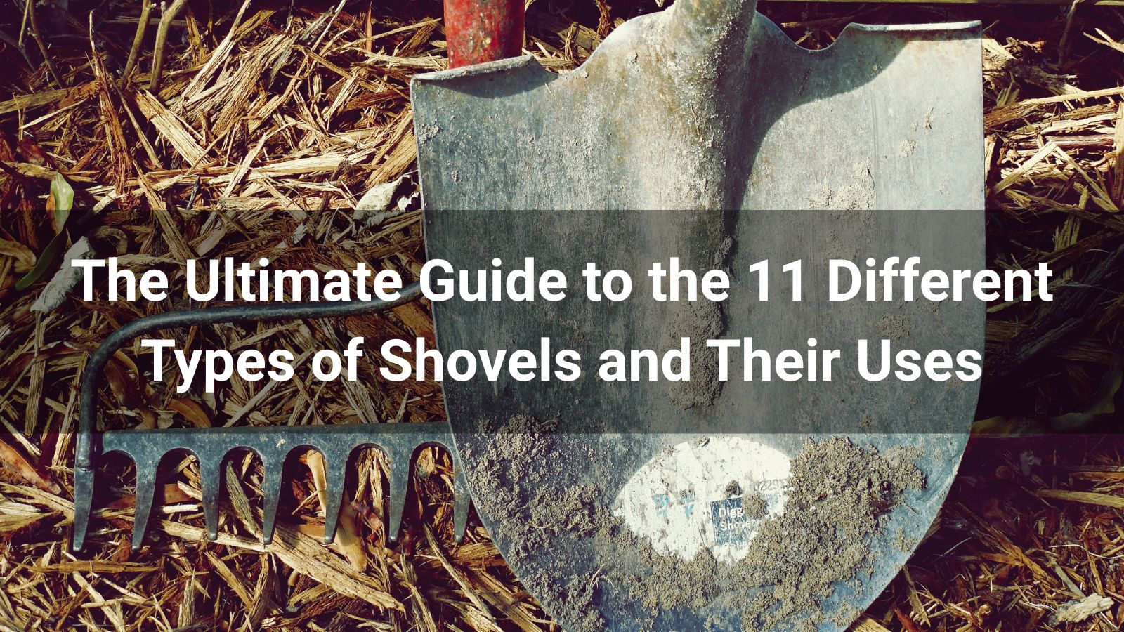 The Ultimate Guide to the 11 Different Types of Shovels and Their Uses