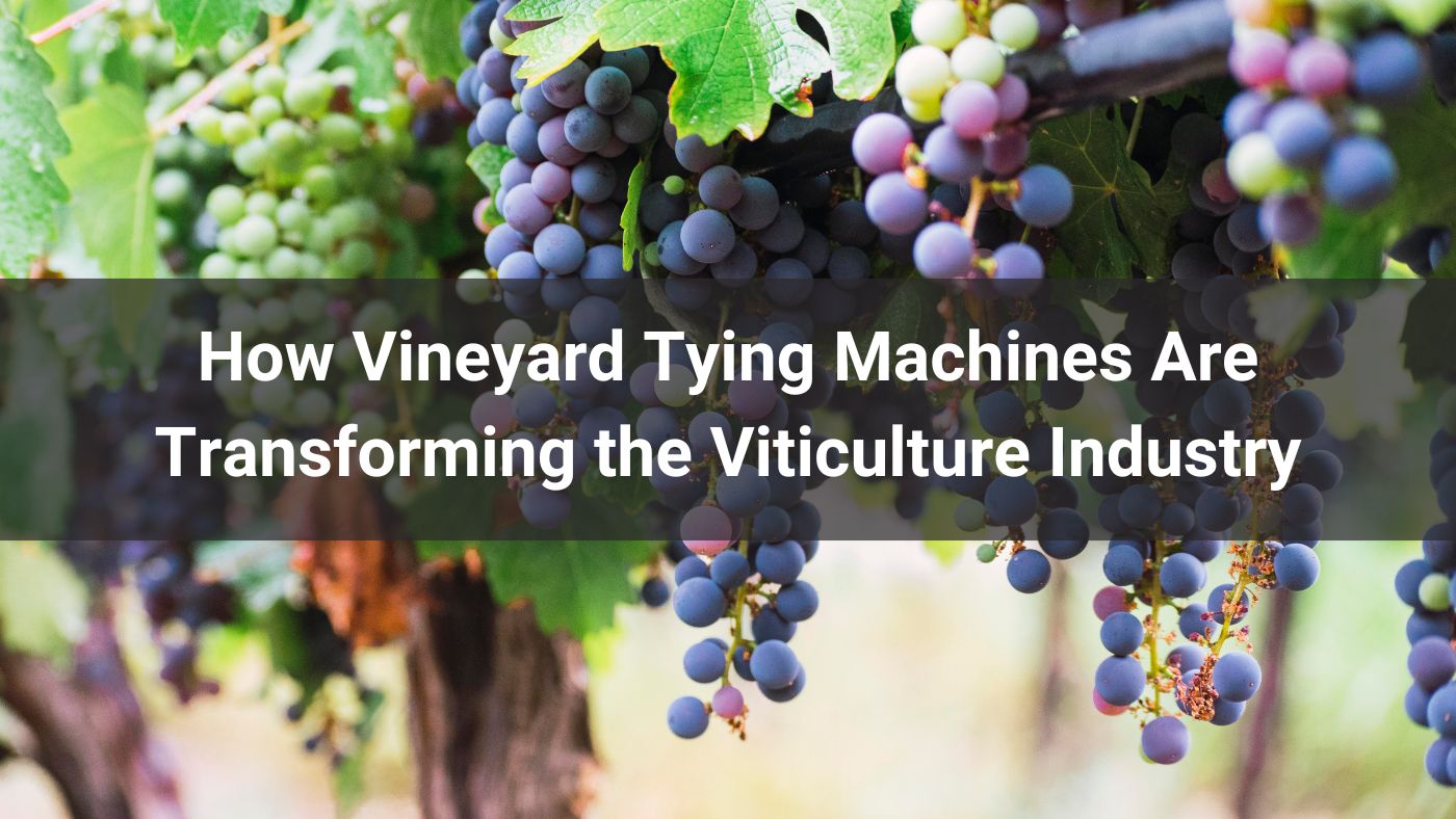 How Vineyard Tying Machines Are Transforming the Viticulture Industry