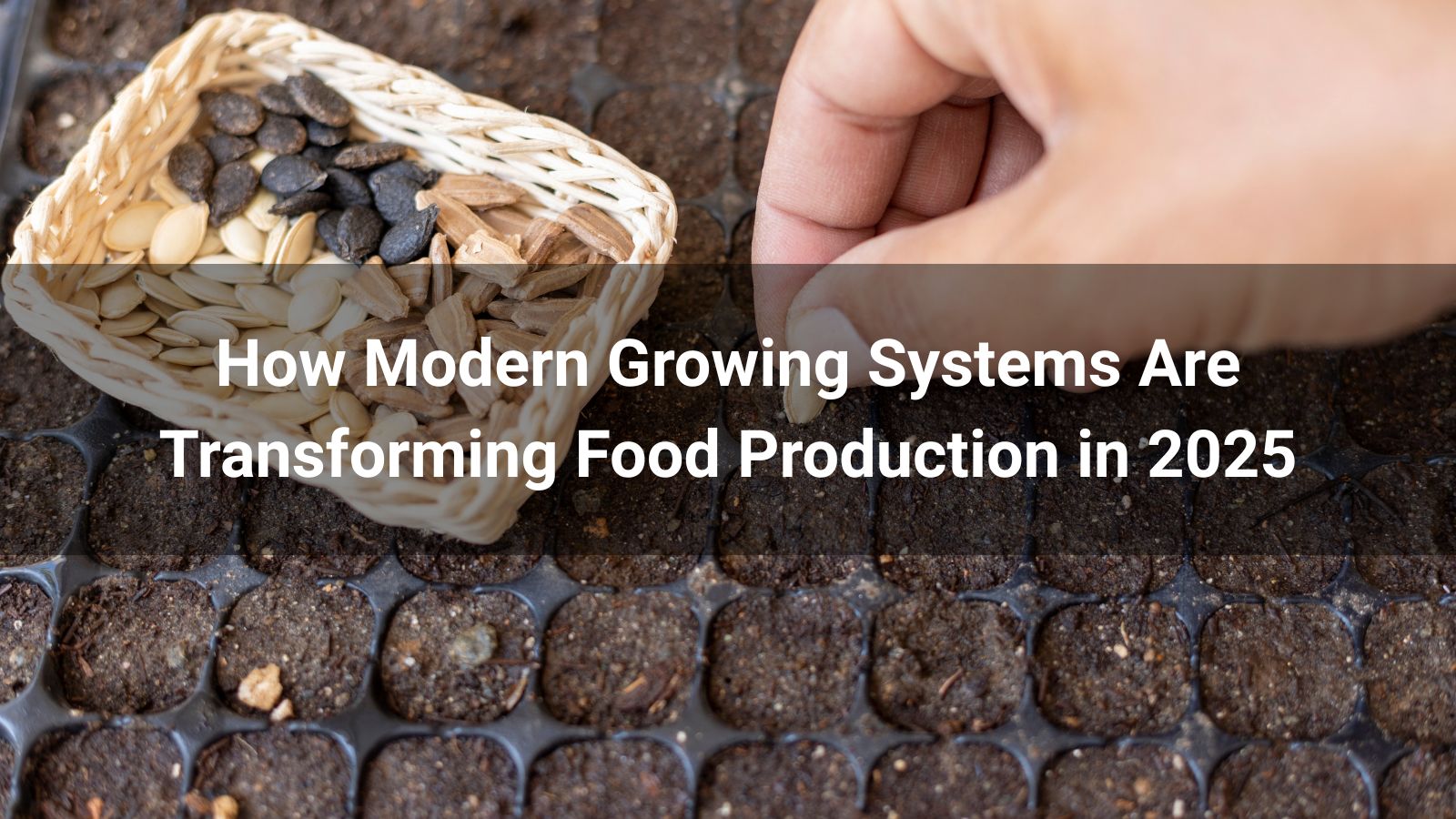 Home Gardening Explained: How Modern Growing Systems Are Transforming Food Production in 2025