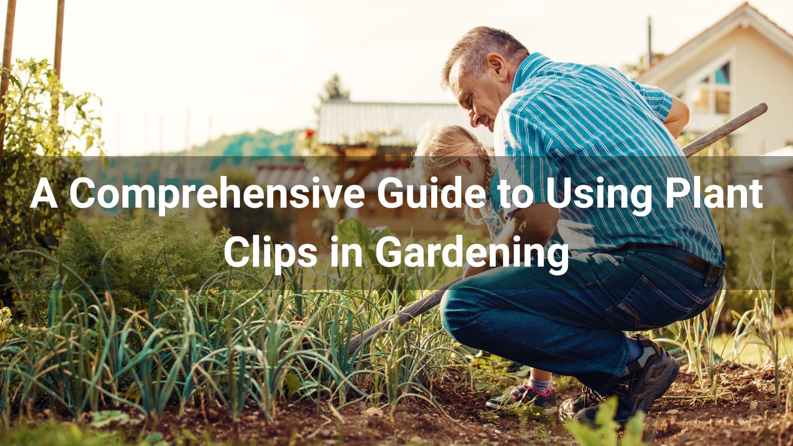 A Comprehensive Guide to Using Plant Clips in Gardening